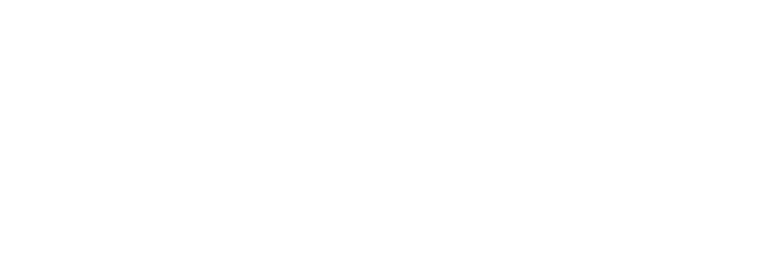 Vie Key Logo